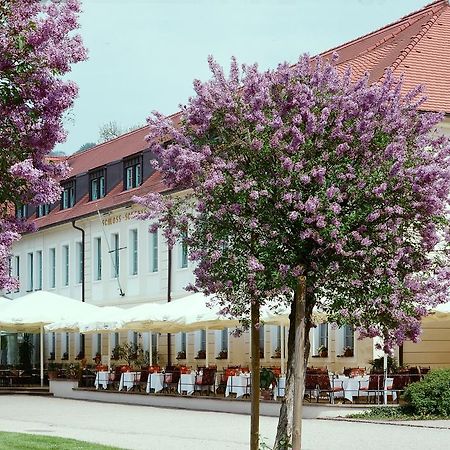 Schloss Hotel Dresden Pillnitz Eksteriør bilde