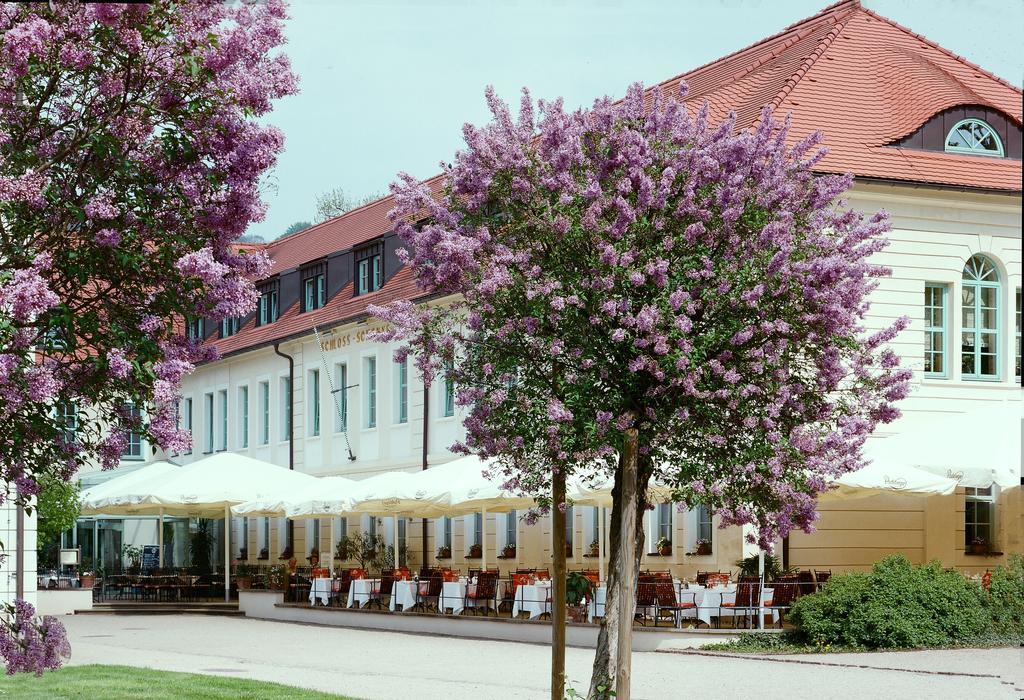 Schloss Hotel Dresden Pillnitz Eksteriør bilde